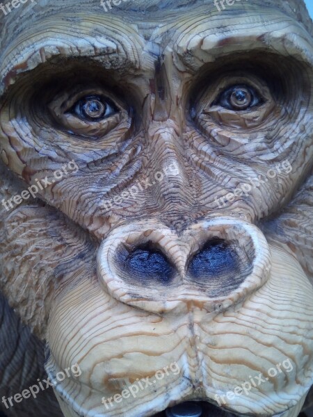 Gorilla Wood Carving Chainsaw Art Free Photos