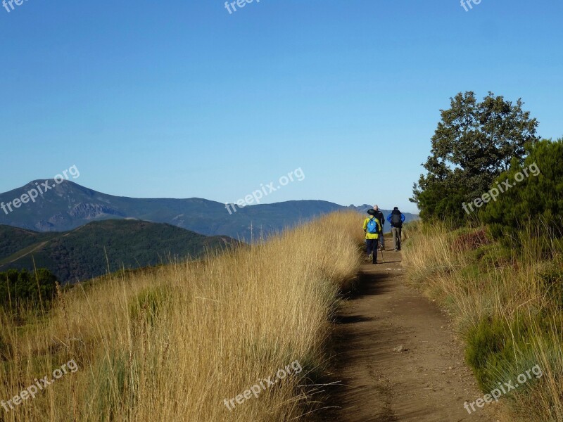 Way Of St James Spain Camino Santiago Tourism Landscape