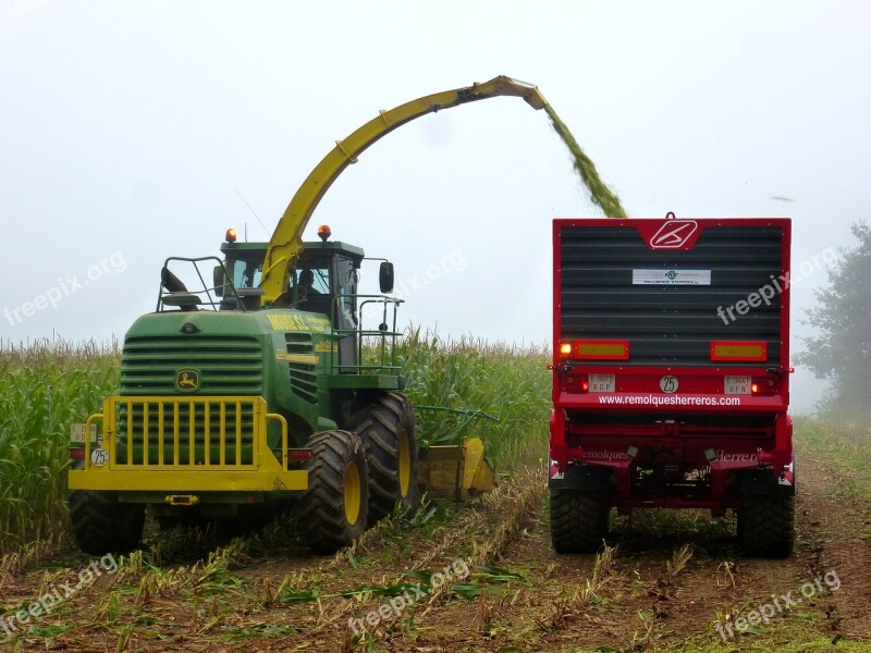 Work Harvest Agriculture Worker Cornfield