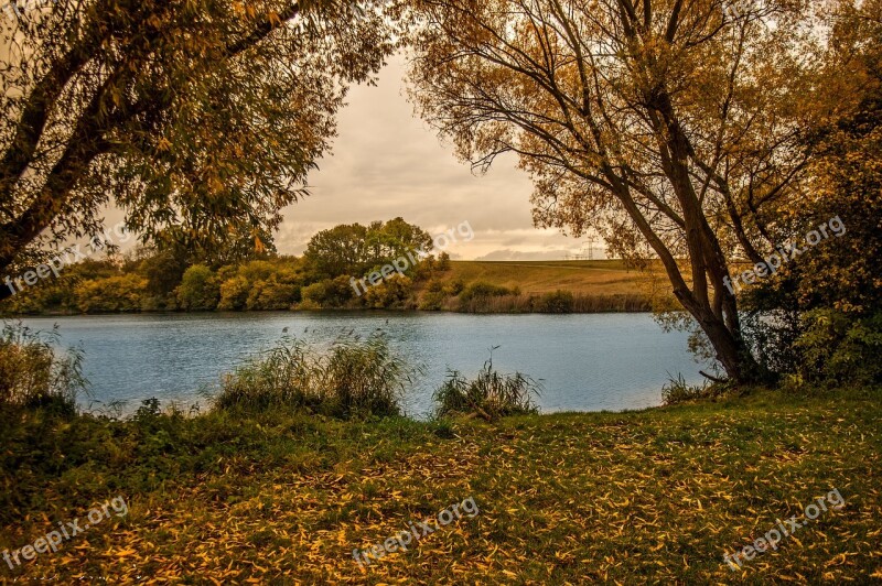 Autumn Little Lake Leaves Trees Color Nature