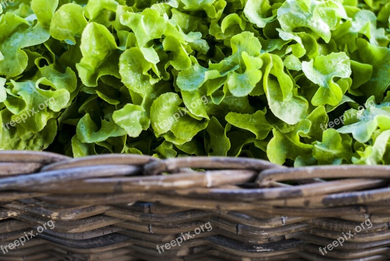 Vegetable Market Supermarket Fresh Healthy