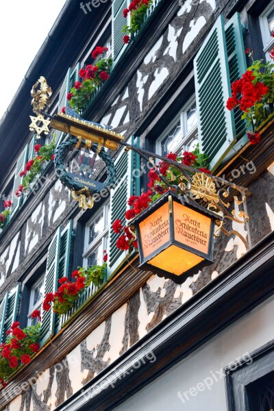 Bamberg Town Hall Bridge Regnitz Building