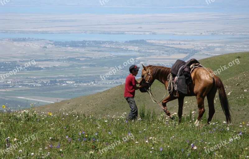 Karakol Kyrgyzstan Horse Nature Animal