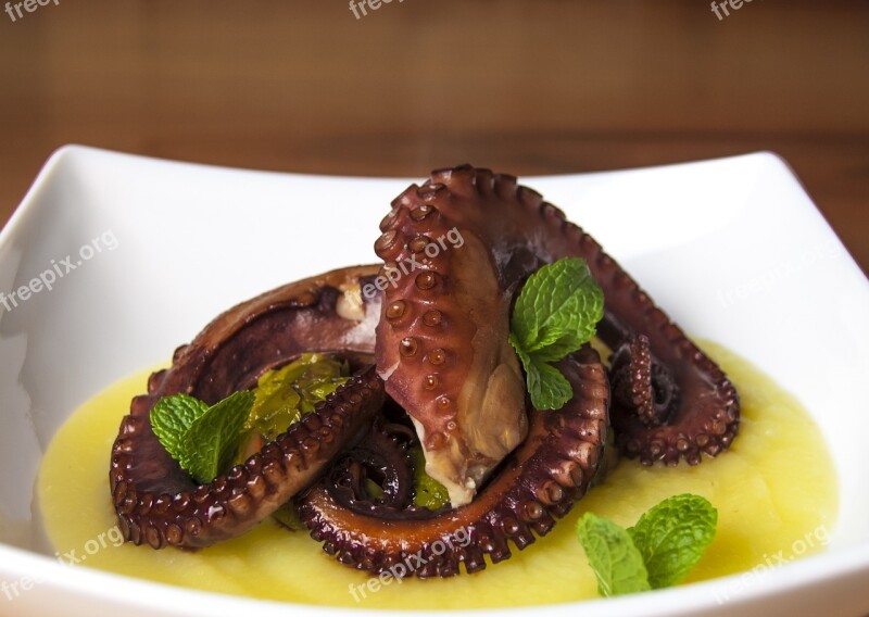 Octopus Potatoes Mint Gourmet Chef