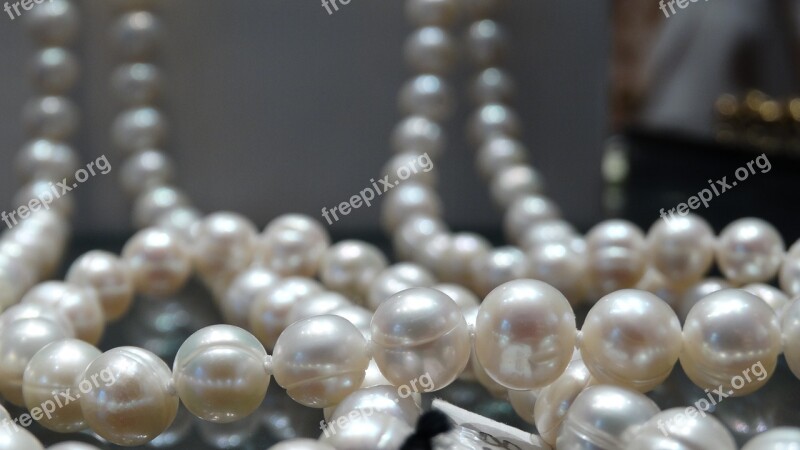 Pearl Jewelry No Neck Free Photos