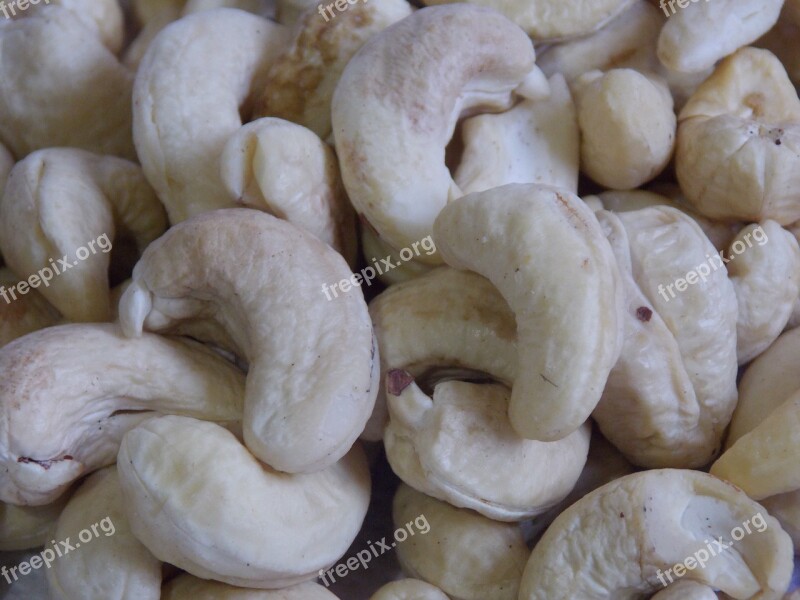 Cashew Nut White Protein Healthy