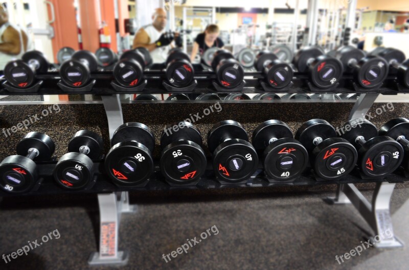 Gym Wieghts Fitness Sport Equipment