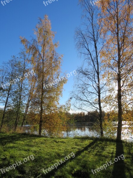 Shadow Wood Autumn Fall Colors Sky