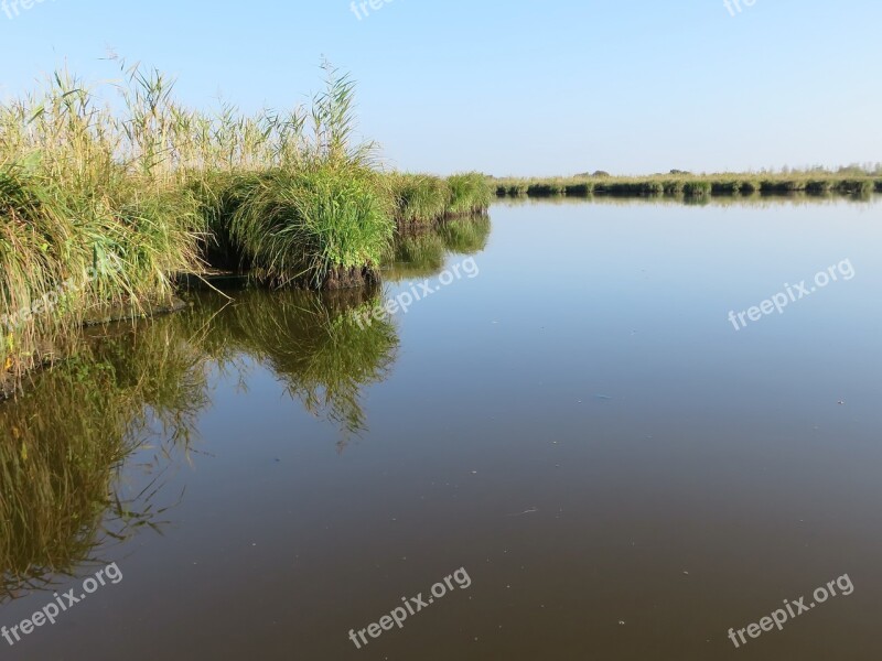 Loire Atlantique Brière Marsh Pond Calm