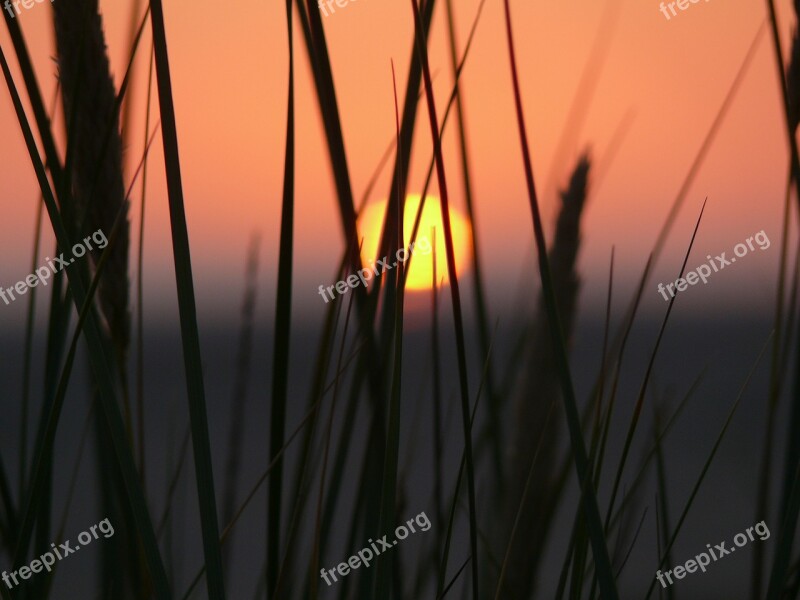 Beach Sunset Abendstimmung North Sea Grasses