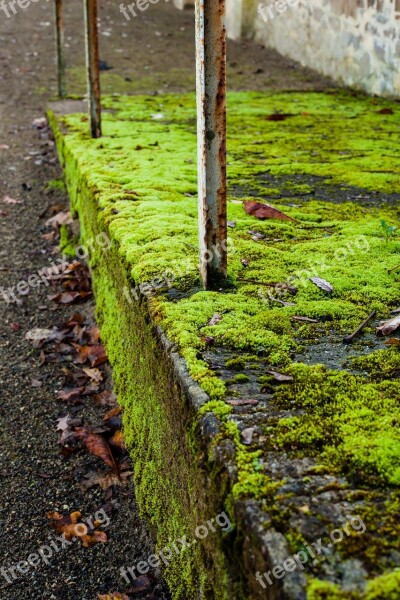 Ramp Moss Green Rust Railing