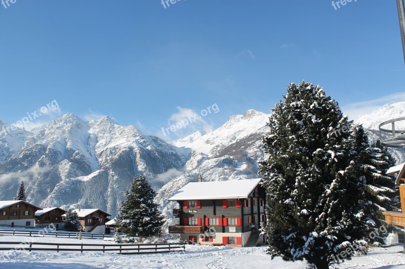 Switzerland Vacations Snow Mountains Fir Tree