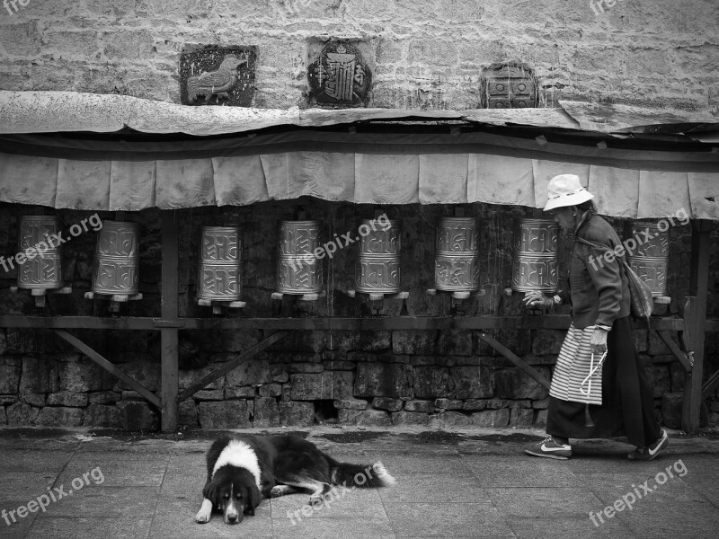 Tibet Prayer The Old Man Dog Prayer Wheel