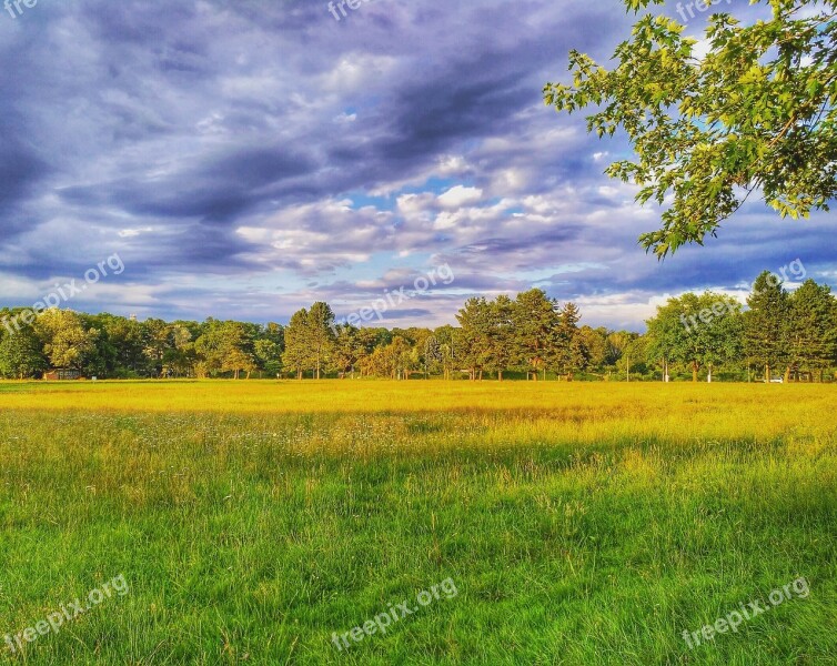 Darmstadt Hesse Germany Light Meadow Grass