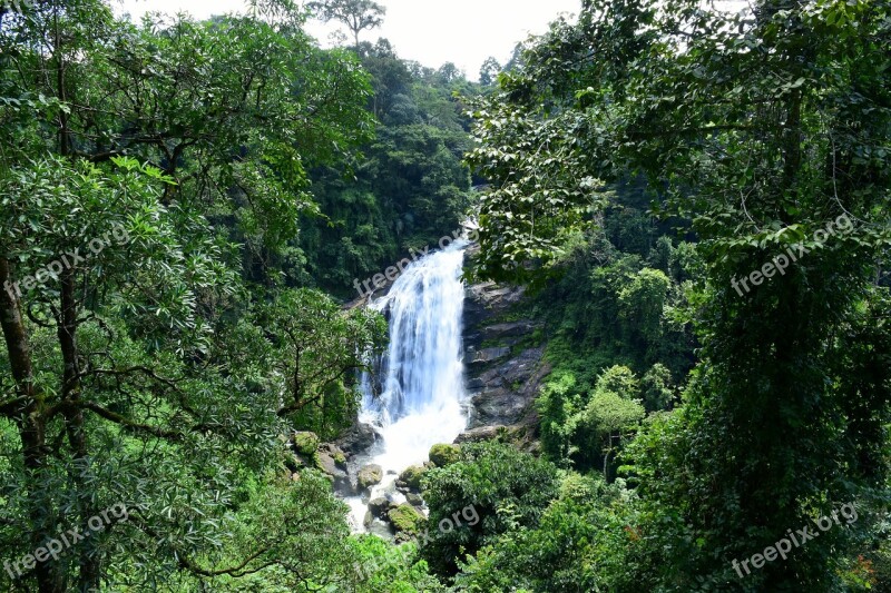 Waterfall India Forest Munnar Kerala