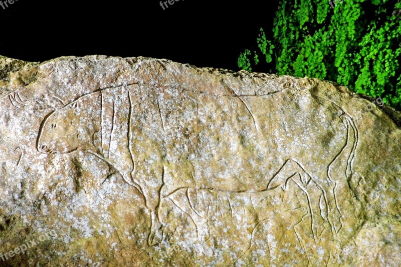 Cave Of The Hermit Graffiti Paleolithic Bos Primigenius Uro