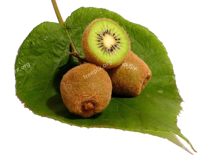 Kiwi Fruit Vitamins Healthy Green