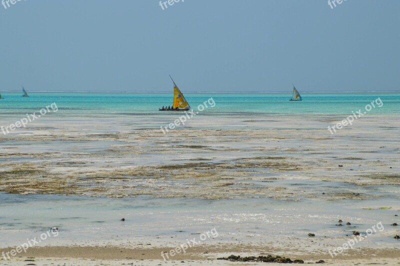 Zanzibar Tanzania Africa Sea Ocean