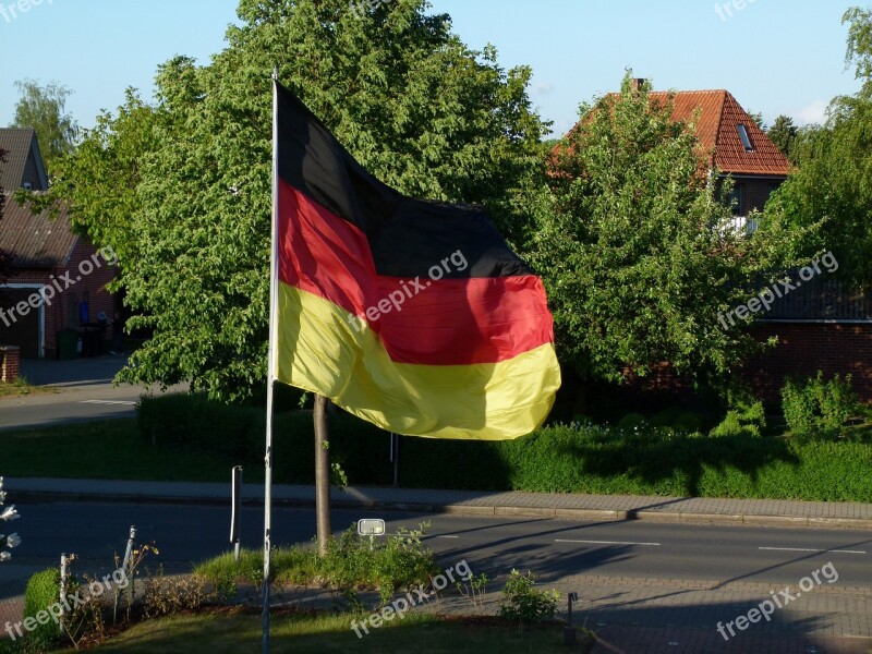 Germany Flag Black Red Gold German Flag Flutter