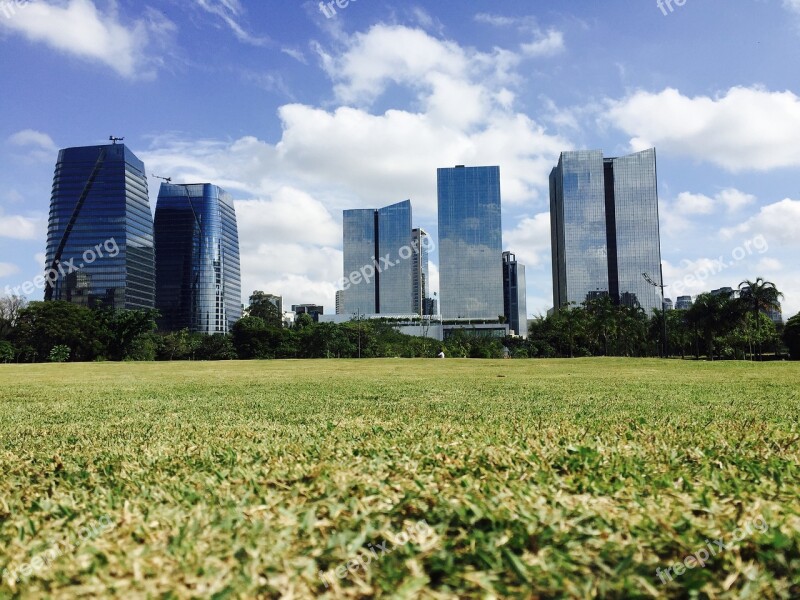 Park People's Park Brazil Sampa São Paulo