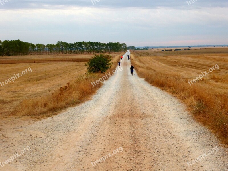 Way Of St James Pilgrims Path Landscape Camino Santiago