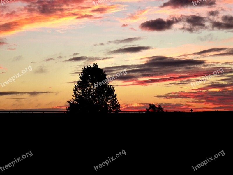 Dawn Camino Santiago Landscape Way Of St James Field