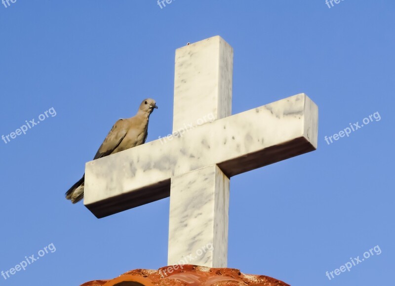 Cross Wild Pigeon Resting Religion Church