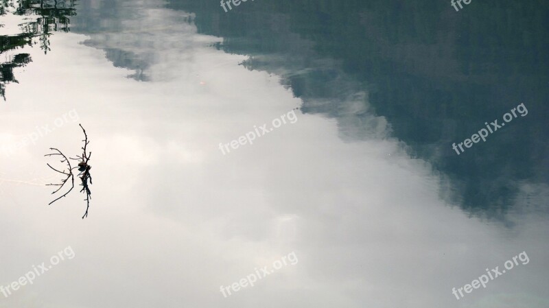 Spring Jiuzhaigou Ink Landscape Water Surface