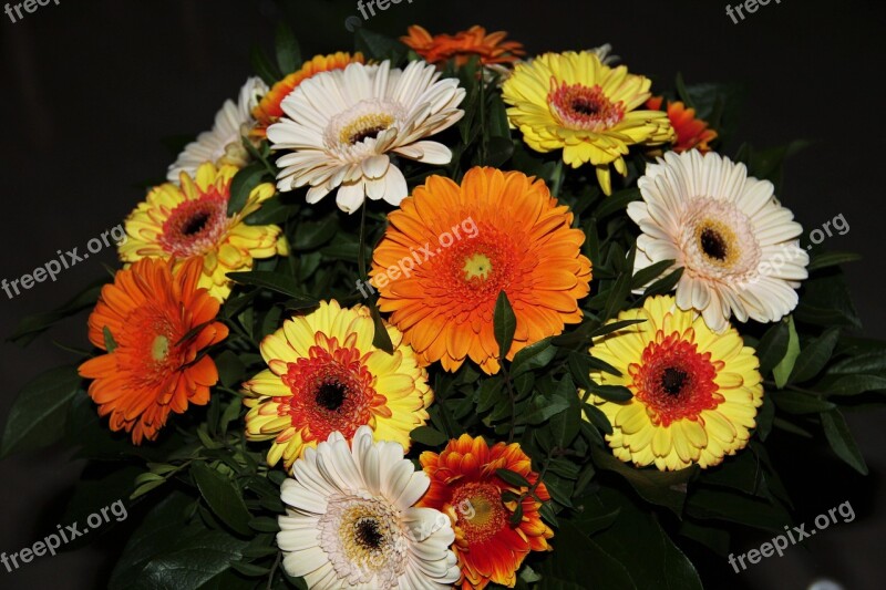 Autumn Flowers Gerbera Bouquet Gerbera Bouquet Flowers