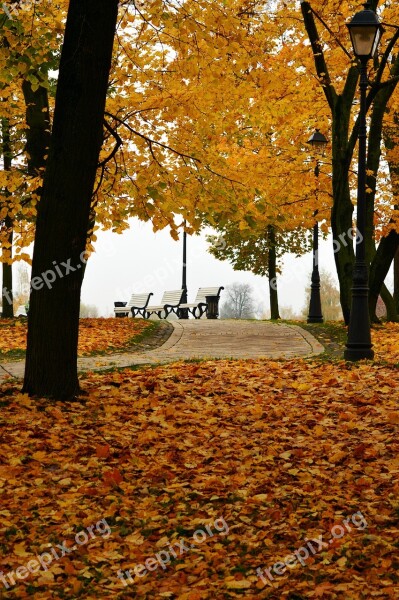 Autumn In The Park Autumn Autumn Nature Bench In The Park Autumn Park