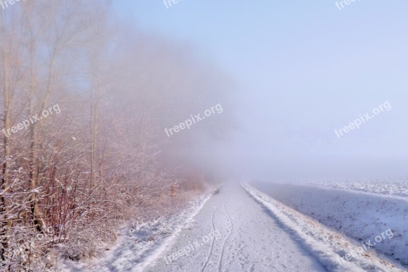 Fog Winter Impressions Wintry Snow Cold