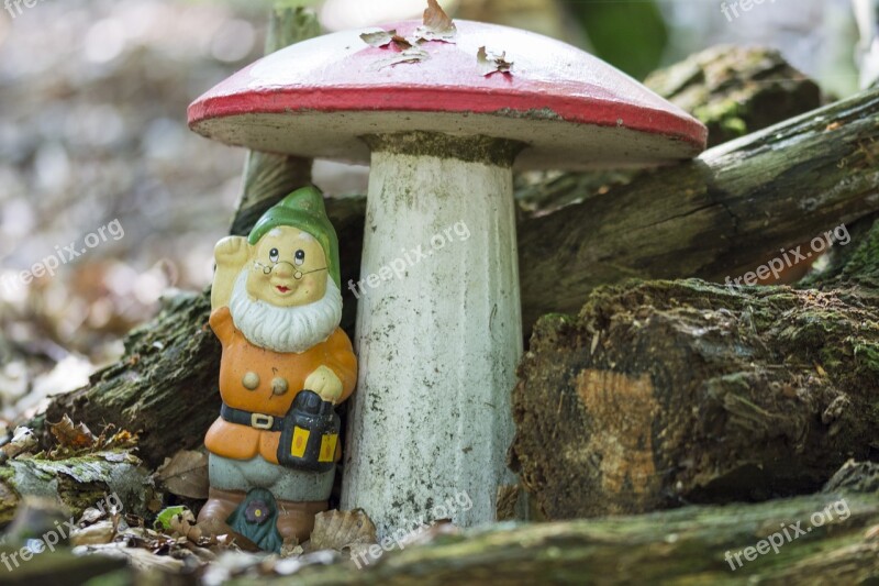 Gnome Mushroom Forest Woodgnome Red Fly Agaric