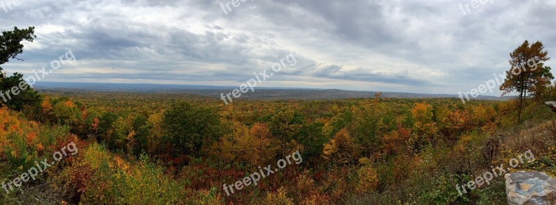 Fall Foliage Trees Autumn Yellow