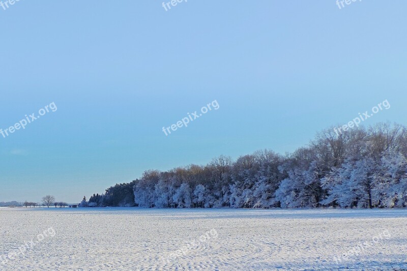 Landscape Trees Winter Impressions Wintry Snow