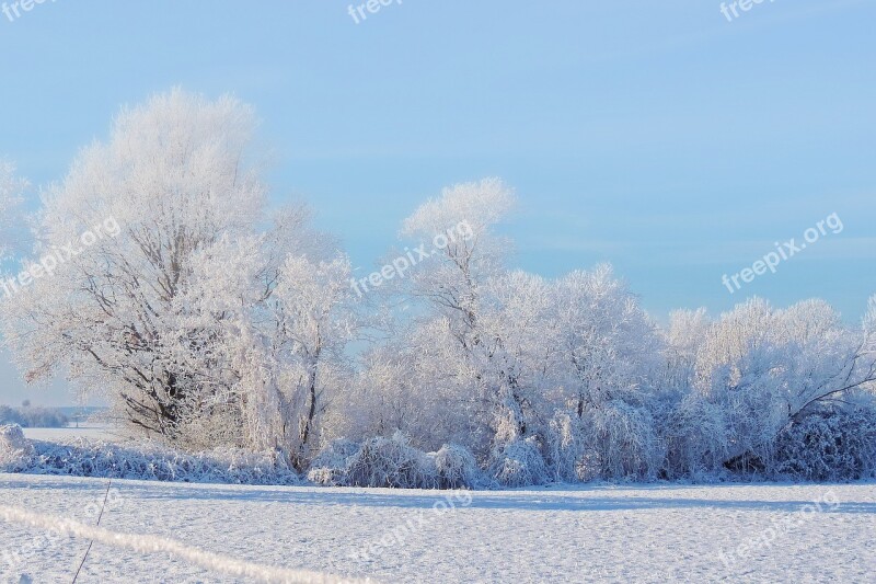 Landscape Trees Winter Impressions Wintry Snow