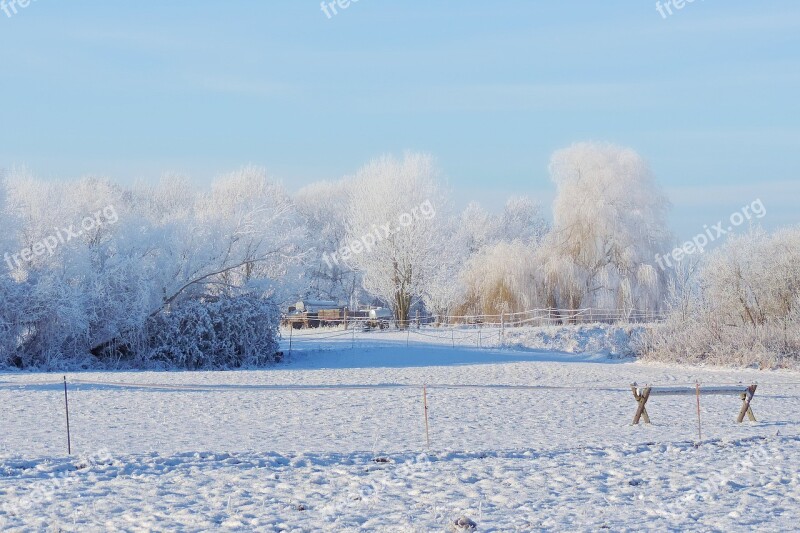 Landscape Trees Bank Winter Impressions Wintry