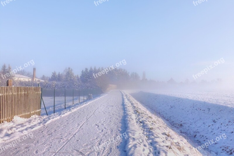 Fog Winter Impressions Wintry Snow Cold