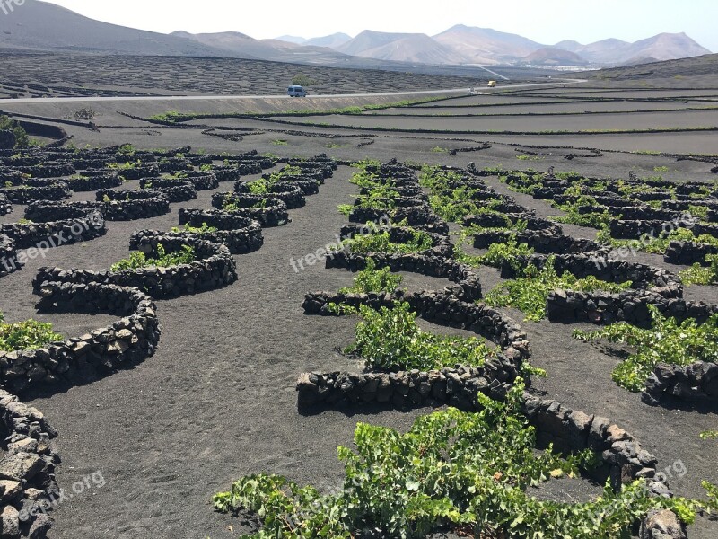 La Geria Lanzarote Landscape Spain Nature