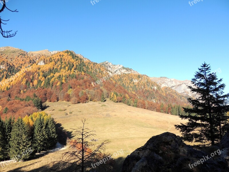 Royal Sheepfold Mountain Sinaia Landscape Free Photos