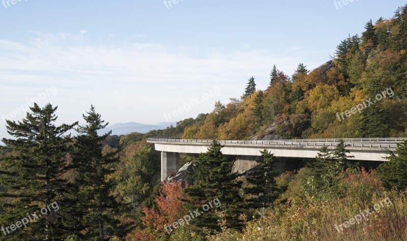 Fall Leaves Autumn Brigde Forest