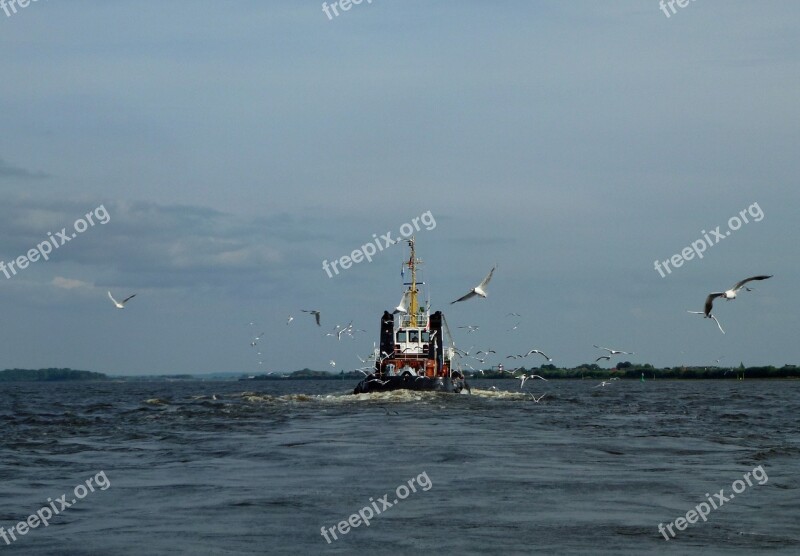 Bugsier Elbe Tug Hamburg Seagull