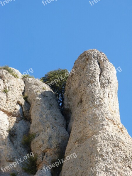 Rocks Needle Rock Tree Survivor Resistance