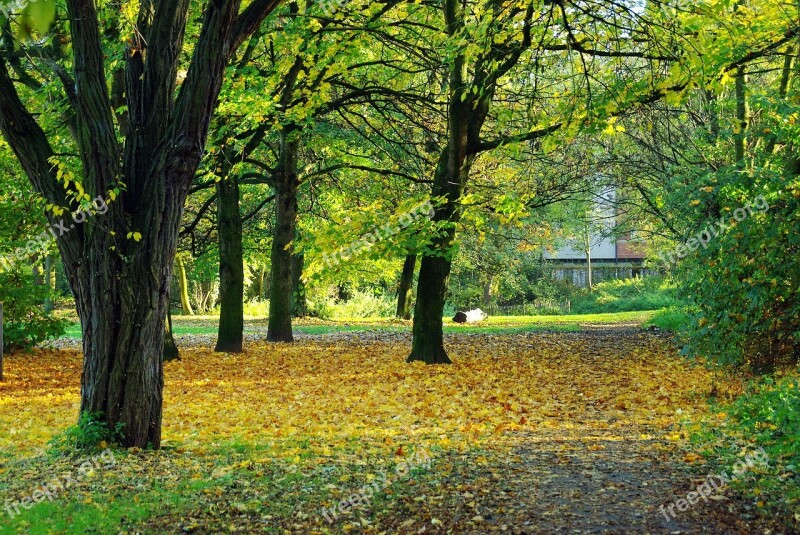 Lille Fall Park Leaves Promenade