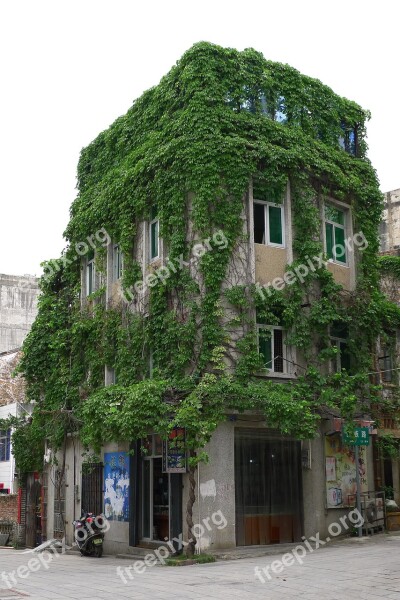 Guangxi North Sea Street Old Buildings Green Vegetation Facades