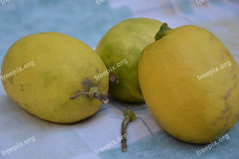 Lemons Fruits Citrus Fruits Yellow Fruit