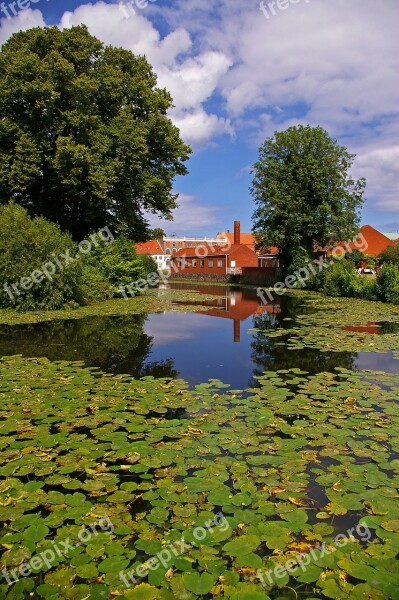 Mirroring Water Reflection Water Nature Landscape