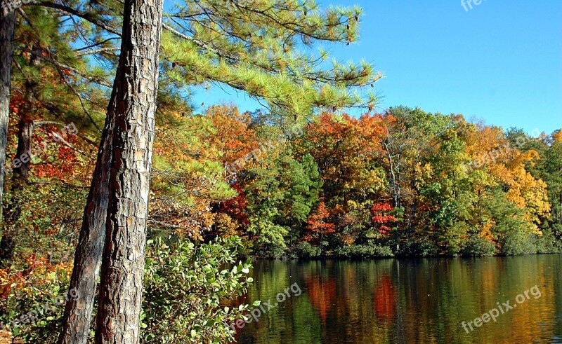 Fall Colors Autumn Vibrant Colorful North Georgia