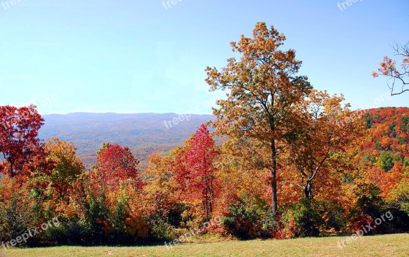 Fall Colors Autumn Vibrant Colorful North Georgia