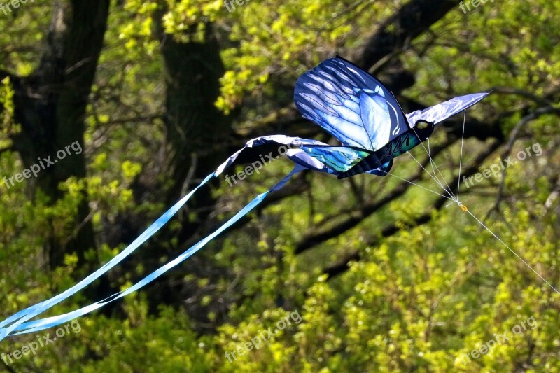 Kite Park Play Blue Kite Outdoor Butterfly Kite