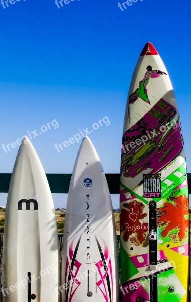 Surf Club Surfboards Equipment Surfing Sport